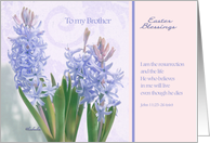 to my brother, easter blessings, crocus flower, christian happy easter card, John 11:25 card