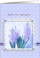 happy easter in Serbian, blue crocus flower,3-d-lace effect, card