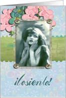 I am sorry in Spanish,lo siento,vintage,flowers card