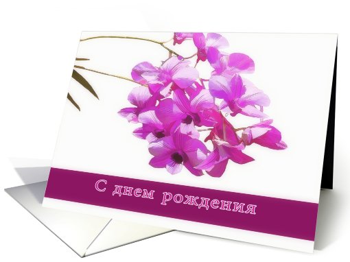 happy birthday in russian, pink orchids,flower,floral, card (798820)