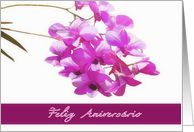 happy birthday in Portuguese,feliz aniversrio, pink orchids, flower, floral, card