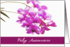 happy birthday in Portuguese,feliz aniversrio, pink orchids, flower, floral, card