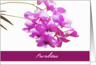 happy birthday in Portuguese, parabns, pink orchids, flower, floral card