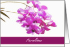 happy birthday in Portuguese, parabns, pink orchids, flower, floral card