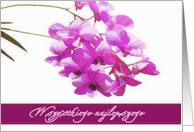 happy birthday in Polish,Wszystkiego najlepszego ,pink orchids,flower,floral, card