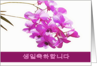 happy birthday in Korean , pink orchids, flower, floral, card