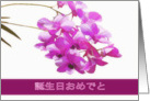 happy birthday in Japanese, pink orchids, flower, floral, card