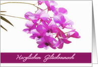 happy birthday in German, herzlichen Glckwunsch zum Geburtstag, pink orchids, flower, floral, card