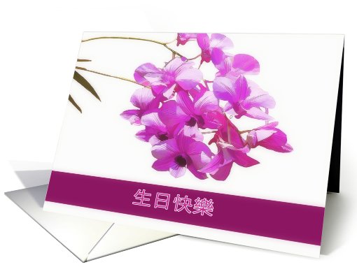 happy birthday in chinese, pink orchids, flower, floral, card (798855)