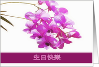 happy birthday in chinese, pink orchids, flower, floral, card