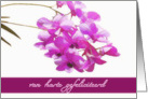 happy birthday in Dutch, van harte gefeliciteerd, pink orchids, flower, floral card