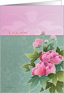 Spasiba, thank you very much in Russian, peonies card