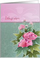 Děkuji vm, thank you very much in Czech, peonies card
