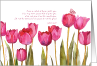 John 14:27, scripture encouragement card, tulips and butterfly card