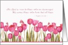 Psalm 34:18, scripture encouragement card, tulips and butterfly card