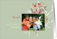 Noel Christmas Photo Red Birds Green Leaves Contemporary card