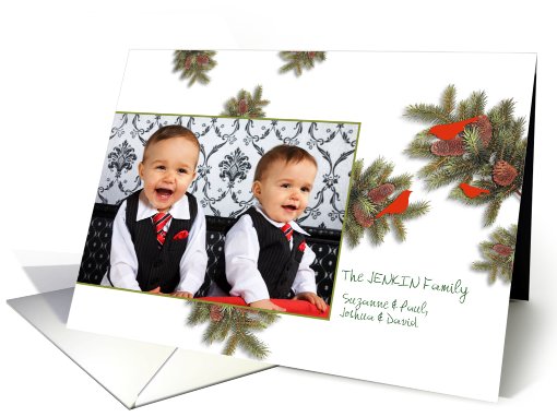 joy, peace, merry christmas, christmas photo card, fir... (856451)