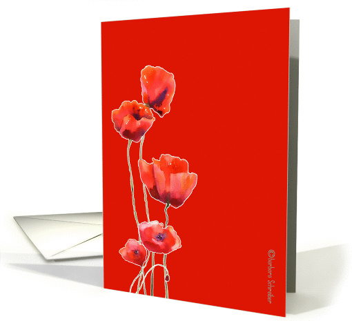 red poppies, watercolor painting, red background, card (859739)