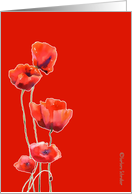 red poppies, watercolor painting, red background, card