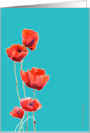 red poppies, watercolor painting, turquoise background, card