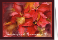 Personalized Name Card, business Christmas card, Poinsettias, card