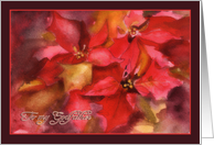 Christmas card for Godfather, Poinsettia, watercolor card