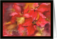 god jul och gott nytt r, Merry Christmas in Swedish , poinsettias, card