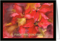 Merry Christmas in Russian, poinsettias, card