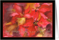 frohe Weihnachten, Merry Christmas in German, poinsettia card