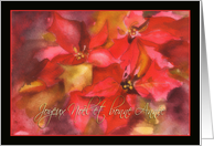 Joyeux Nol et bonne Anne, Merry Christmas in French, poinsettia card