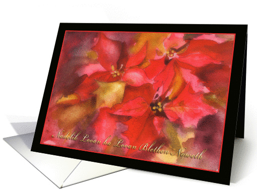Nadelik Looan, Merry Christmas in Cornish, poinsettia card (880615)