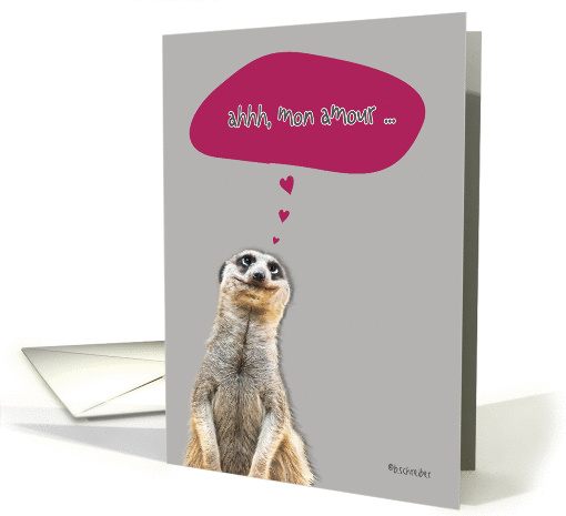mon amour, I love you card in French, cute meerkat card (889552)
