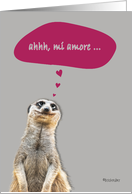 mi amore, Happy Valentine’s Day in Italian, cute meerkat card