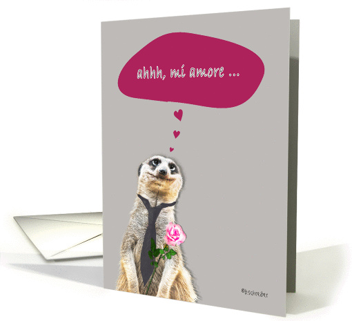 mi amore, Happy Valentine's Day in Italian, addressing female card