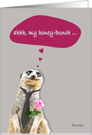 my honey-bunch, Happy Valentine’s Day, love & romance card