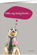 my honey-bunch, my heart beats only for you, love & romance card