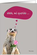 mi querido, my heart beats only for you in Spanish, addressing male card