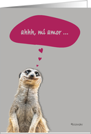 mi amor, my heart beats only for you in Spanish, cute meerkat card