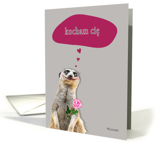 Kocham cię , I love you in Polish, addressing male card (890043)