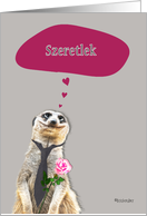 Szeretlek, I love you in Hungarian, addressing female, cute meerkat card