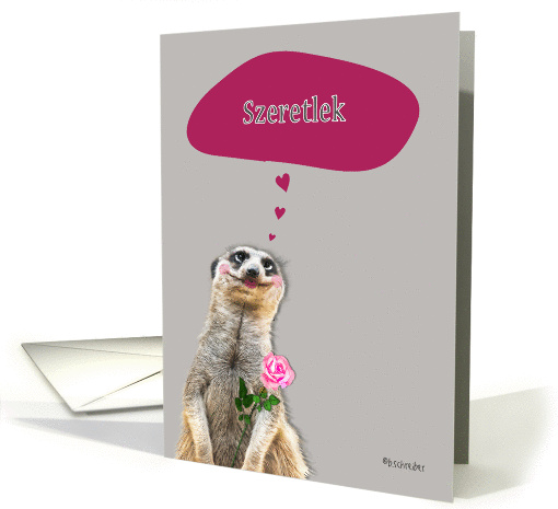 Szeretlek, I love you in Hungarian, addressing male, cute meerkat card