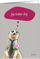 Jeg elsker dig, I love you in Danish, addressing female, cute meerkat card