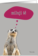 miluji tě, I love you in Czech, cute meerkat card