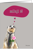 miluji tě, I love you in Czech, addressing female, cute meerkat card