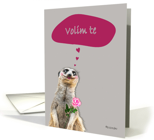 Volim te, I love you in Croatian, addressing male, cute meerkat card