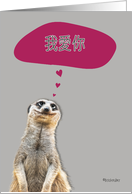 I love you in Chinese, cute meerkat card