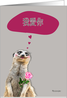 I love you in Chinese, addressing male, cute meerkat card