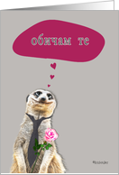 I love you in Bulgarian, addressing female, cute meerkat card
