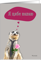 I love you in Belarusian, addressing fmale, cute meerkat card