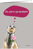 Will you be my Valentine? dreamy male meerkat holding rose card